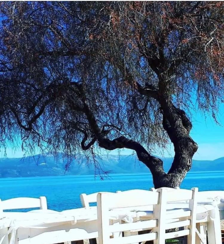 Вилла Eratous Seaside House Agii Dimitrios ke Panteleimon Экстерьер фото